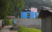 Hoa phố núi và những ngón nghề mại dâm quái đản Hoa phố núi và những ngón nghề mại dâm quái đản