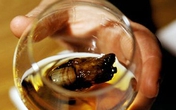 Rùng rợn loại cocktail được ngâm từ những ngón chân người Rùng rợn loại cocktail được ngâm từ những ngón chân người