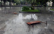 Hà Nội xáo trộn vì bão Haiyan Hà Nội xáo trộn vì bão Haiyan