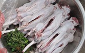 Khi chuột cống đã thành “đặc sản” Khi chuột cống đã thành “đặc sản”