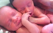 Thích thú với hình ảnh cặp song sinh ôm nhau ngủ lúc tắm