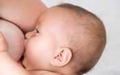 Thực phẩm giúp bé “đánh bại” ốm đau trong mùa đông Thực phẩm giúp bé “đánh bại” ốm đau trong mùa đông