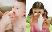 Cách nhận biết và phòng viêm xoang cho trẻ mùa lạnh Cách nhận biết và phòng viêm xoang cho trẻ mùa lạnh