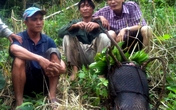 'Người rừng' Quảng Ngãi được đóng phim 'Người rừng' Quảng Ngãi được đóng phim
