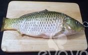 Cá chép sốt cà chua nóng hổi
