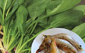 Những món mẹ không-được-nấu cùng nhau Những món mẹ không-được-nấu cùng nhau