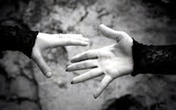 Sự thật đắng cay của nàng dâu xảo quyệt Sự thật đắng cay của nàng dâu xảo quyệt
