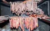 Rục rịch săn hàng 'độc' đón Tết Rục rịch săn hàng 'độc' đón Tết