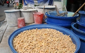 Trái cây hỏng, ngâm hóa chất thành mứt tết Trái cây hỏng, ngâm hóa chất thành mứt tết