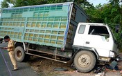 Bé 3 tuổi chết dưới gầm xe tải Bé 3 tuổi chết dưới gầm xe tải