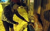 Sập bẫy “em gái 19 tuổi” cơ nhỡ tại bến xe Sập bẫy “em gái 19 tuổi” cơ nhỡ tại bến xe