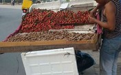 Dâu tây Trung Quốc mác Đà Lạt bán giá "cắt cổ" Dâu tây Trung Quốc mác Đà Lạt bán giá "cắt cổ"