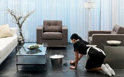 Lương giúp việc gia đình cao hơn cử nhân đại học Lương giúp việc gia đình cao hơn cử nhân đại học