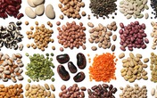 Mẹo chế biến các loại đậu