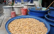 Tận mắt nhìn quy trình làm mứt sẽ... hết muốn ăn Tận mắt nhìn quy trình làm mứt sẽ... hết muốn ăn