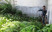 Nghi án bé trai 3 tuổi bị bắt cóc, giết hại dã man ở Sài Gòn Nghi án bé trai 3 tuổi bị bắt cóc, giết hại dã man ở Sài Gòn