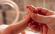 Đắng lòng bé sơ sinh tử vong vì bị bỏ rơi giữa trời lạnh Đắng lòng bé sơ sinh tử vong vì bị bỏ rơi giữa trời lạnh
