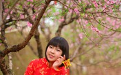 Tết đến sợ gì nhất? Tết đến sợ gì nhất?