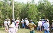 Phát hiện thiếu nữ chết lõa thể trong rừng tràm Phát hiện thiếu nữ chết lõa thể trong rừng tràm