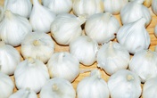 Thuốc trị viêm họng từ nhà bếp Thuốc trị viêm họng từ nhà bếp