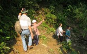 Những chuyện đau đớn ít biết của giới săn trầm Những chuyện đau đớn ít biết của giới săn trầm
