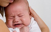 Bầu sắp làm mẹ, nuôi con thế nào? Bầu sắp làm mẹ, nuôi con thế nào?