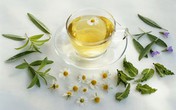 6 đồ uống bảo vệ nhan sắc trước máy tính 6 đồ uống bảo vệ nhan sắc trước máy tính