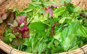 Canh rau tập tàng nấu tôm Canh rau tập tàng nấu tôm