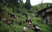 15 năm nuôi con chờ người vợ phụ bạc 15 năm nuôi con chờ người vợ phụ bạc