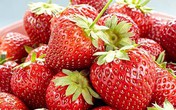 6 loại củ, quả giúp cải thiện chuyện chăn gối 6 loại củ, quả giúp cải thiện chuyện chăn gối