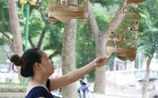 Gặp người phụ nữ mê chim hơn mê chồng Gặp người phụ nữ mê chim hơn mê chồng