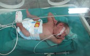 Giành giật sinh - tử vì cố mang thai Giành giật sinh - tử vì cố mang thai