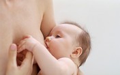 Cho con bú và những điều cực hiếm người biết Cho con bú và những điều cực hiếm người biết