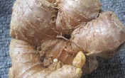 17 loại gia vị, hương liệu giúp món ăn ngon hơn 17 loại gia vị, hương liệu giúp món ăn ngon hơn