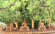Người đàn bà tủi phận qua hai lần “đò“ vẫn không giấy giá thú Người đàn bà tủi phận qua hai lần “đò“ vẫn không giấy giá thú
