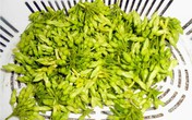 Đổi vị với thịt bò xào bông thiên lý Đổi vị với thịt bò xào bông thiên lý
