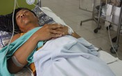 Người đàn ông bị bọ xít hút máu cắn đến bất tỉnh Người đàn ông bị bọ xít hút máu cắn đến bất tỉnh
