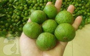 Rớt nước miếng với những món ngon từ quả sấu Rớt nước miếng với những món ngon từ quả sấu