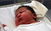 Bé gái "khổng lồ" được sinh thường Bé gái "khổng lồ" được sinh thường
