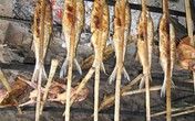 Các món đặc sản núi rừng Hòa Bình Các món đặc sản núi rừng Hòa Bình