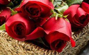 Món quà từ quá khứ Món quà từ quá khứ