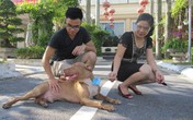 Chó chiến và quạ biết hát của đại gia Hải Phòng Chó chiến và quạ biết hát của đại gia Hải Phòng