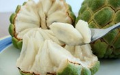 Những lợi ích tuyệt vời khi ăn quả na Những lợi ích tuyệt vời khi ăn quả na