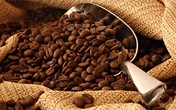 8 thói quen gây hại cho sức khỏe 8 thói quen gây hại cho sức khỏe