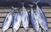 Những thực phẩm cực tốt nhưng không nên ăn nhiều Những thực phẩm cực tốt nhưng không nên ăn nhiều