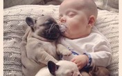 Chùm ảnh cực đáng yêu và hài hước về bé với cún con Chùm ảnh cực đáng yêu và hài hước về bé với cún con
