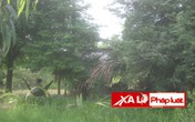 Căm phẫn gã con trai "làm bậy" với cả mẹ già 82 tuổi Căm phẫn gã con trai "làm bậy" với cả mẹ già 82 tuổi