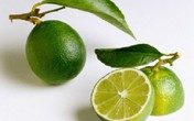 Giảm cân an toàn bằng chanh Giảm cân an toàn bằng chanh
