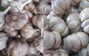 5 loại thực phẩm nên ăn nhiều vào mùa thu 5 loại thực phẩm nên ăn nhiều vào mùa thu