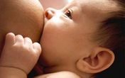 Sữa sau sinh: Ngực lép đừng lo Sữa sau sinh: Ngực lép đừng lo